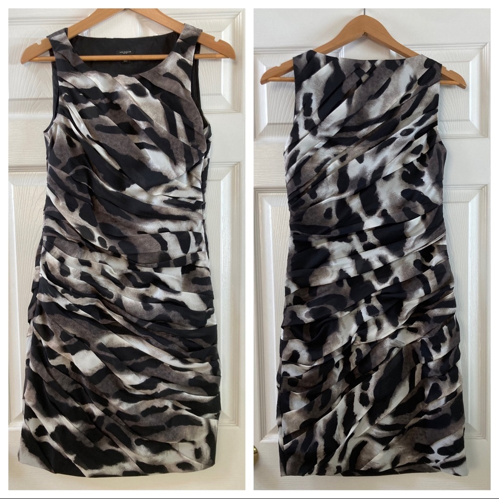 Ann Taylor Size 8 Animal Print Sleeveless Chiffon Ruffle Dress